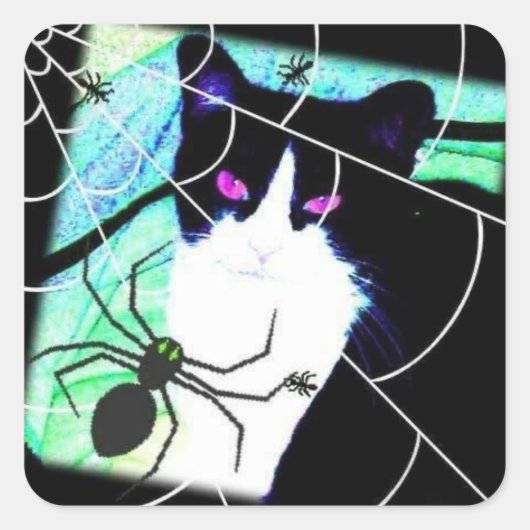 KittyCatSpiderWeb Vierkante Sticker (Voorkant)