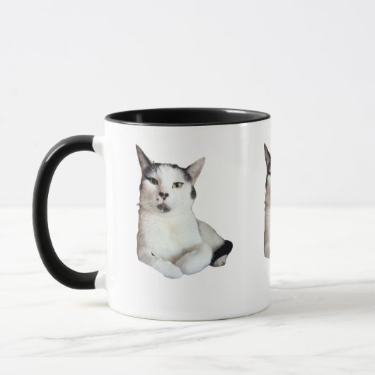 KittyONE Mok (Links)