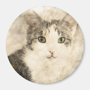 Kittys - Volledige aandacht ABSTRACT WATERVERF Magneet