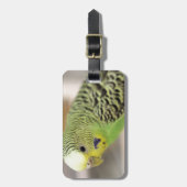 Kiwi Bagagelabel (Voorkant verticaal)