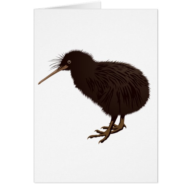 Kiwi Bird (Voorkant)