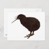 Kiwi Bird Briefkaart (Voorkant / Achterkant)