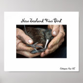 Kiwi Bird in hand poster (Voorkant)