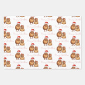 Kiwi Bird Meri Kirihimete Naam Vrolijk Kerstfeest Inpakpapier Vel (Voorkant 3)