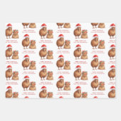 Kiwi Bird Meri Kirihimete Naam Vrolijk Kerstfeest Inpakpapier Vel (Voorkant 2)