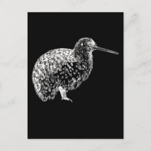 Kiwi Bird Portrait New Zealand Animal Briefkaart