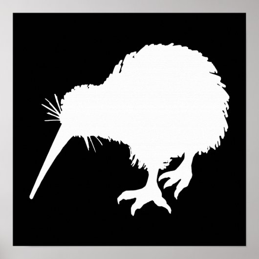 Kiwi Bird Poster (Voorkant)