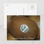 kiwi briefkaart (Voorkant / Achterkant)