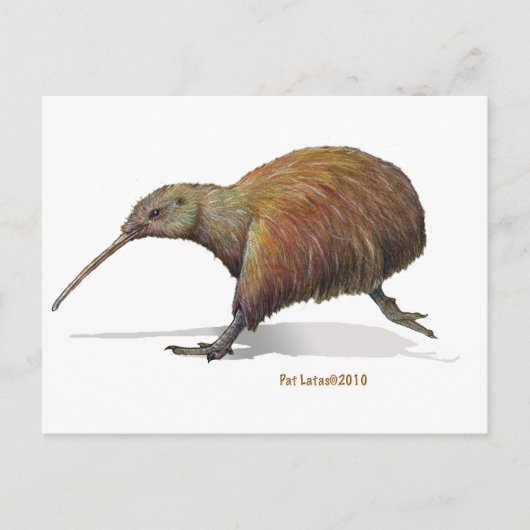 kiwi briefkaart (Voorkant)