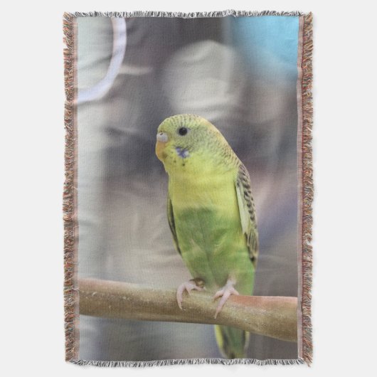 Kiwi Burbell Deken (Voorkant Verticaal)