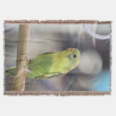 Kiwi Burbell Deken (Voorkant)
