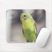 Kiwi Burbell Muismat (Met muis)