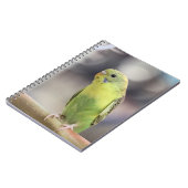 Kiwi Burbell Notitieboek (Linkerzijde)