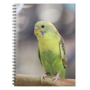 Kiwi Burbell Notitieboek