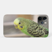 Kiwi Case-Mate iPhone Case (Achterkant (horizontaal))