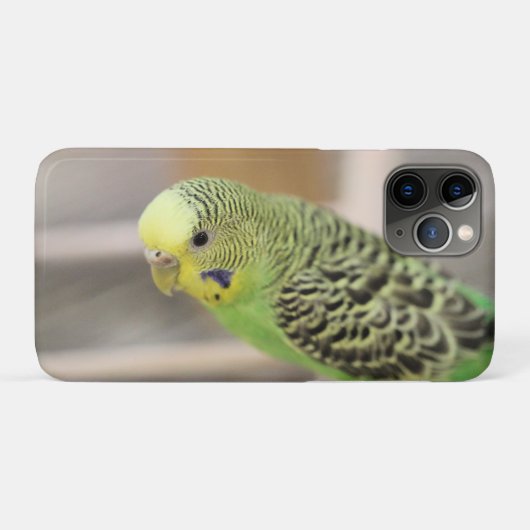 Kiwi Case-Mate iPhone Case (Achterkant (horizontaal))