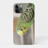 Kiwi Case-Mate iPhone Case (Achterkant)