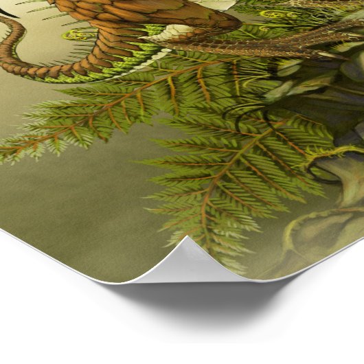 Kiwi Dragon 11x14 (4x6 en hoger) Poster (Hoek)