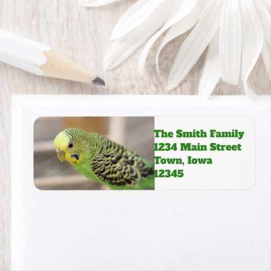 Kiwi Etiket (Insitu)