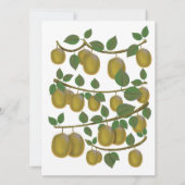 Kiwi Fruit (Achterkant)