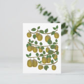 Kiwi Fruit Briefkaart (Staand voorkant)