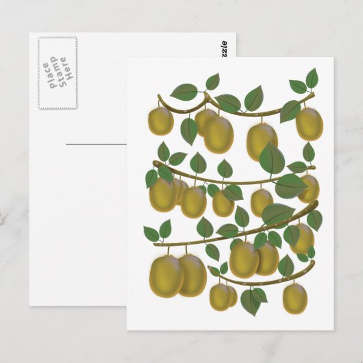 Kiwi Fruit Briefkaart (Voorkant / Achterkant)