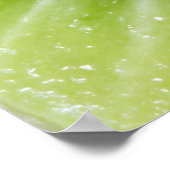 Kiwi Fruit Inside Poster (Hoek)