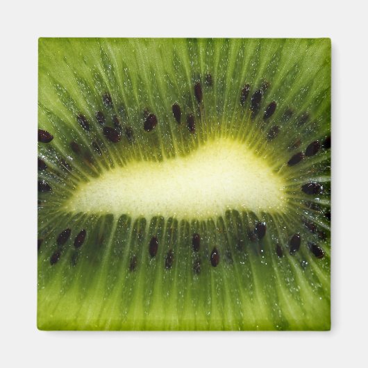 Kiwi Fruit Magneet (Voorkant)