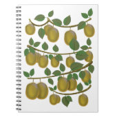 Kiwi Fruit Notitieboek (Voorkant)
