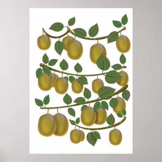 Kiwi Fruit Poster (Voorkant)