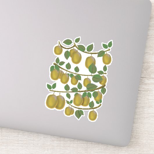 Kiwi Fruit Sticker (Detail)