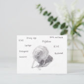 Kiwi gaat een wandeling maken briefkaart (Staand voorkant)