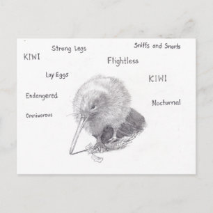 Kiwi gaat een wandeling maken briefkaart