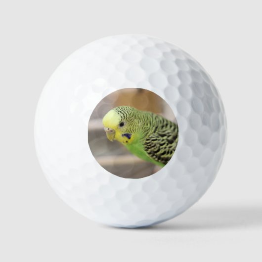 Kiwi Golfballen (Voorkant)