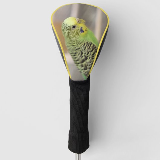 Kiwi Golfheadcover (Voorkant)