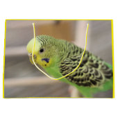 Kiwi Groot Cadeauzakje (Voorkant)