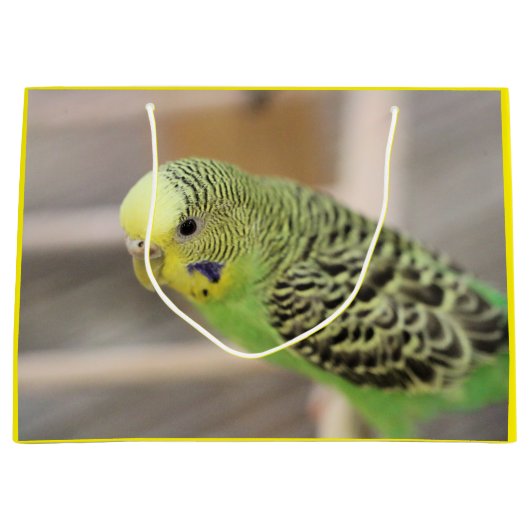 Kiwi Groot Cadeauzakje (Voorkant)