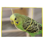 Kiwi Groot Cadeauzakje (Achterkant)