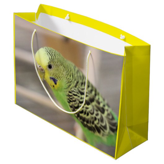 Kiwi Groot Cadeauzakje (Achterkant Gekanteld)