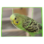 Kiwi Groot Cadeauzakje (Voorkant)