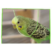 Kiwi Groot Cadeauzakje (Achterkant)