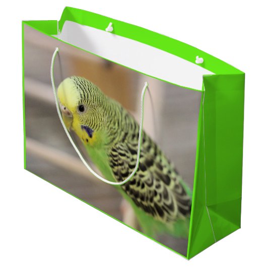 Kiwi Groot Cadeauzakje (Achterkant Gekanteld)