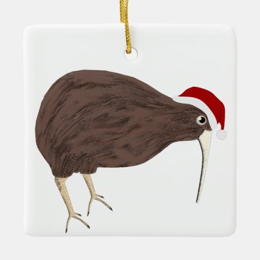 Kiwi Holiday Ornament (Voorkant)