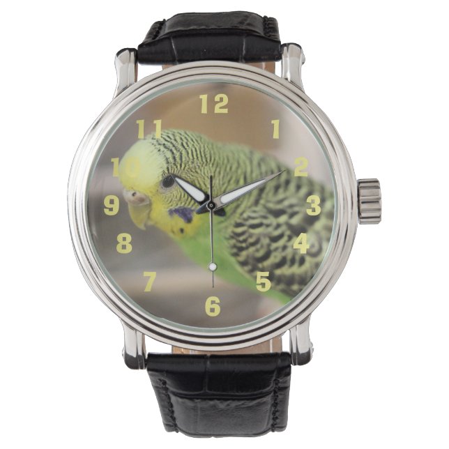 Kiwi Horloge (Voorkant)
