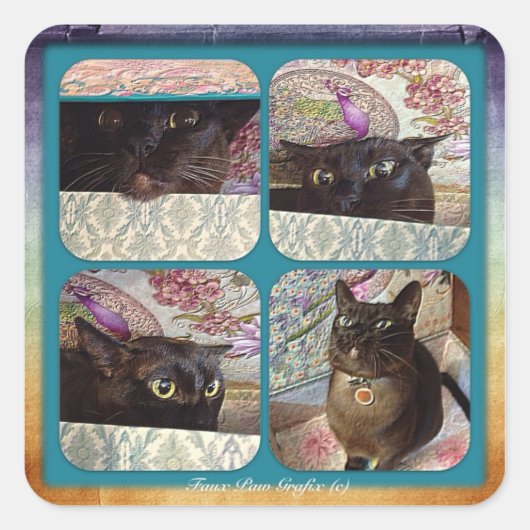 Kiwi in een doos, serie 1, vier afbeeldingen vierkante sticker (Voorkant)