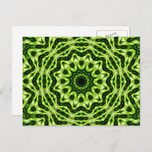 Kiwi Kaleidoscope Briefkaart (Voorkant / Achterkant)