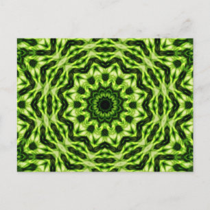 Kiwi Kaleidoscope Briefkaart