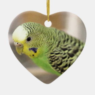 Kiwi Keramisch Ornament