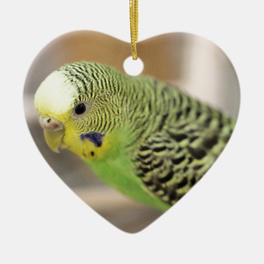 Kiwi Keramisch Ornament (Voorkant)