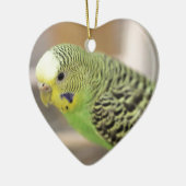 Kiwi Keramisch Ornament (Links)
